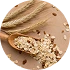 Wheat Proteins